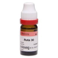 Picture of Ruta Graveolens 30 11 ml