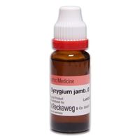 Picture of Syzygium Jamb  Q 20 ml