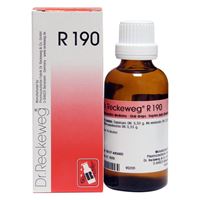Picture of Dr. Reckeweg R 190 Digestion Drops