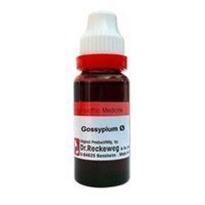 Picture of Gossypium
