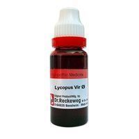 Picture of Lycopus Virg  Q 20 ml