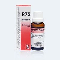 Picture of Dr. Reckeweg R 75 Dysmenorrhoea Drops - 22 ML