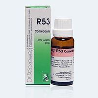 Picture of Dr. Reckeweg R 53 Acne Vulgaris.Rash at Puberty - 22 ML