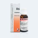 Dr Reckeweg R6 Influenza Drops