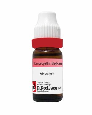 Abrotanum