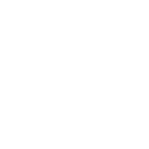 Acid Lacticum 200