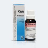 R66-1.jpg