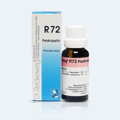 Dr. Reckeweg R72 Pancreas Drops